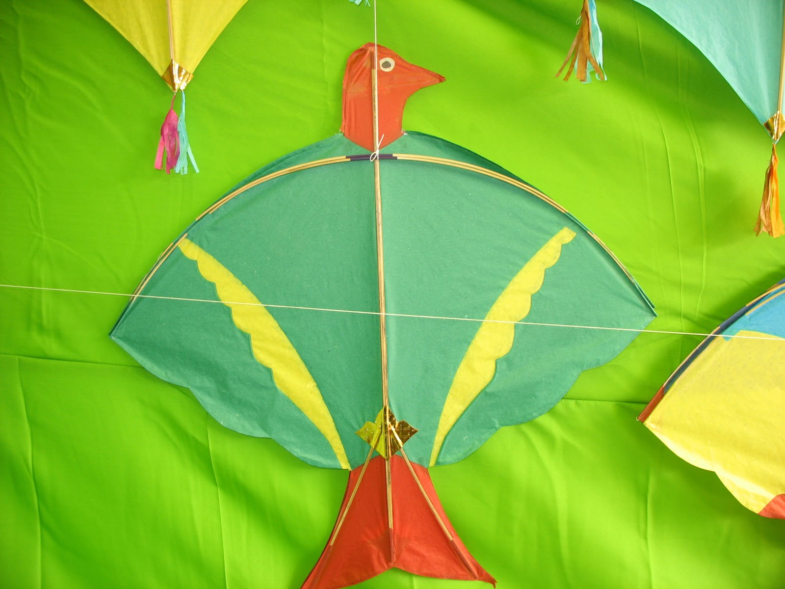 theDelhiStore The Kite Maker