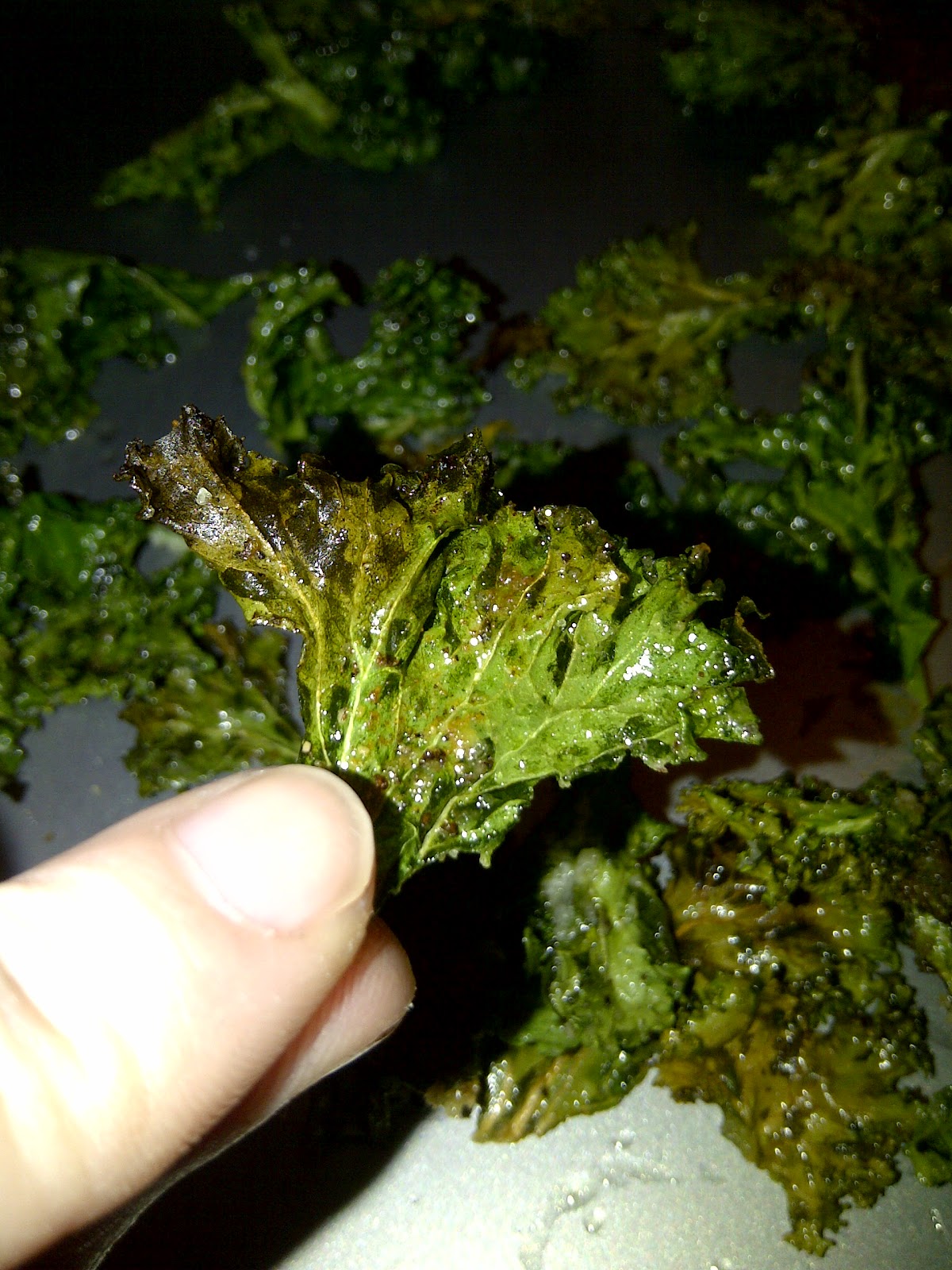 Healthy Cents Toaster Oven Garlic Kale Chips