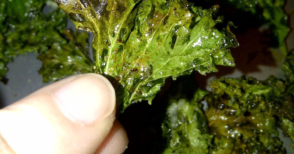 Healthy Cents Toaster Oven Garlic Kale Chips
