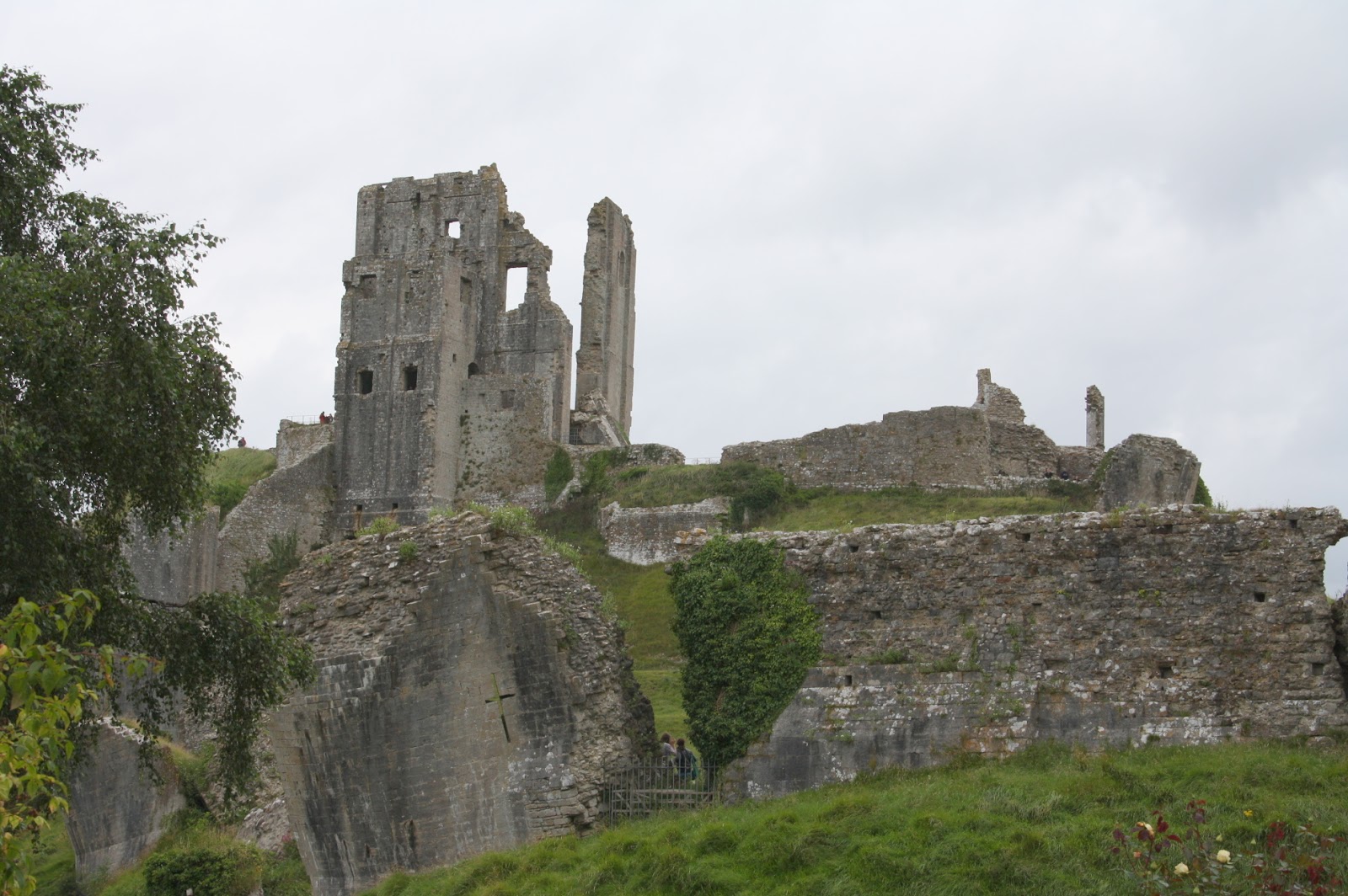 Smallards Swanage and Corfe Castle