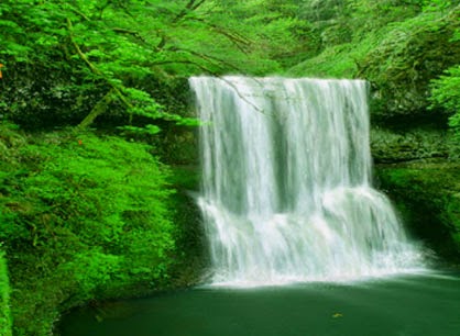 Free Animated Waterfall Wallpaper