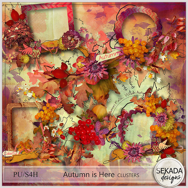 http://www.digitalscrapbookingstudio.com/sekada-designs/