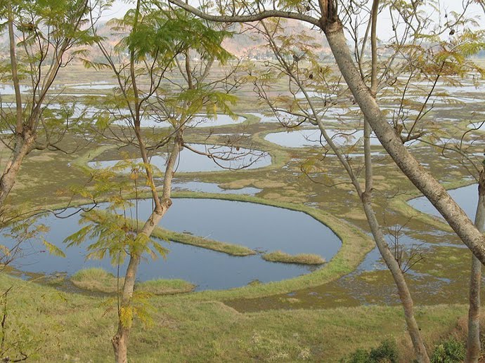 Amazing Places in The World to Visit Loktak Lake, Floating Islands of