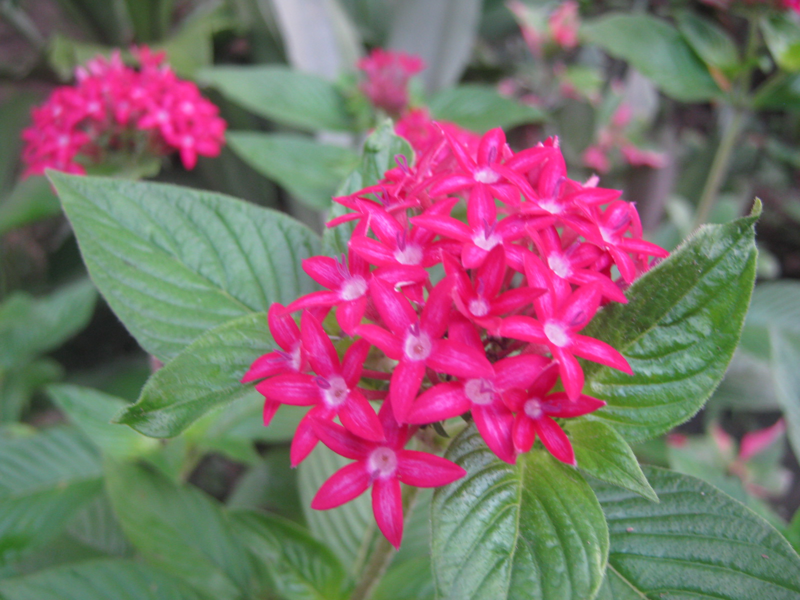 Biz Infomatics Tourist spots, Events, Foods in the