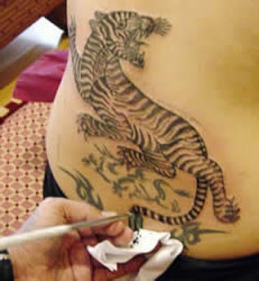 the best collection tiger tattoo