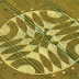 Crop Circle at Overton Down Avebury Wiltshire : 18th July 2011
