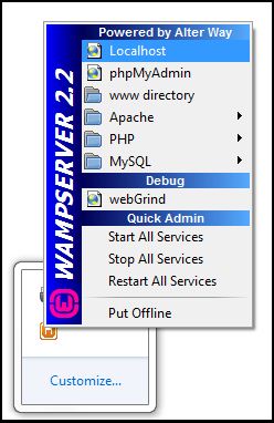 Wamp server offline to online