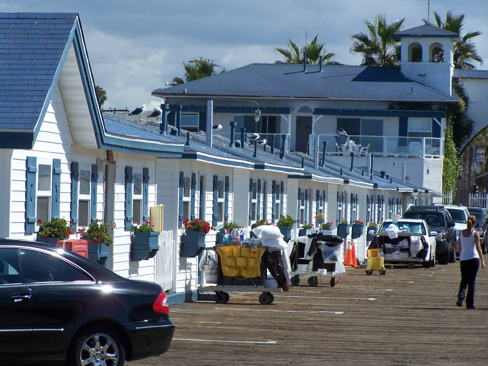 Tours By Josh Whitehead San Diego Crystal Pier