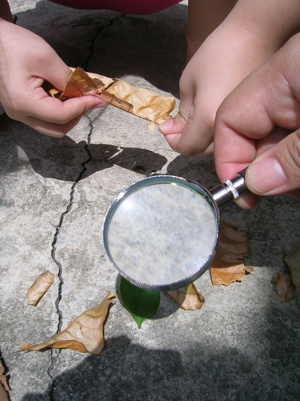homeeco nanay fun with a magnifying glass