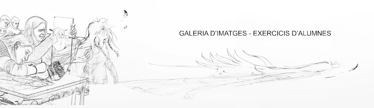 GALERIA D'IMATGES - EXERCICIS D'ALUMNES