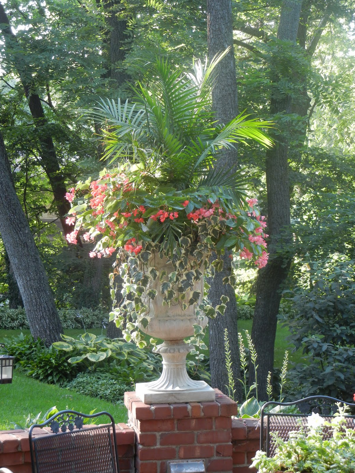 The French Tangerine kelly's garden