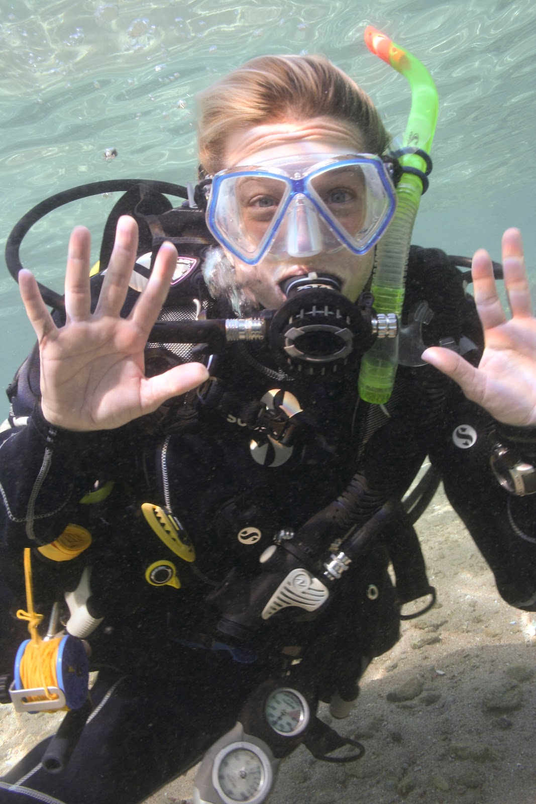 So I Managed to Squeeze in Another Dive The DiveBunnie Blog