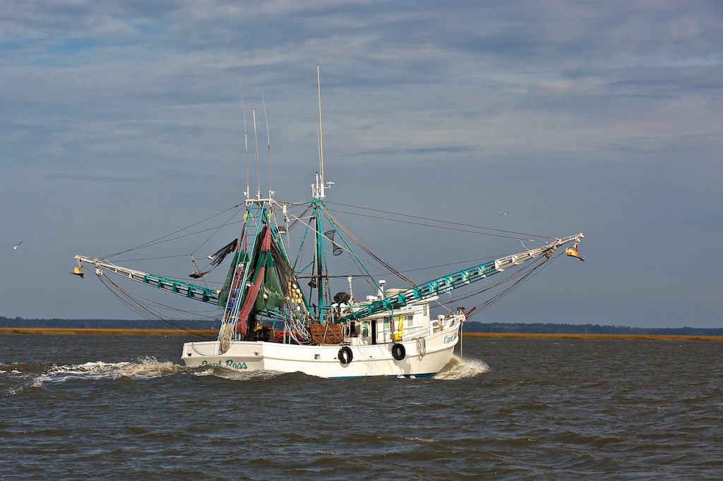 A Tale of Two Chemists St Simons Island,