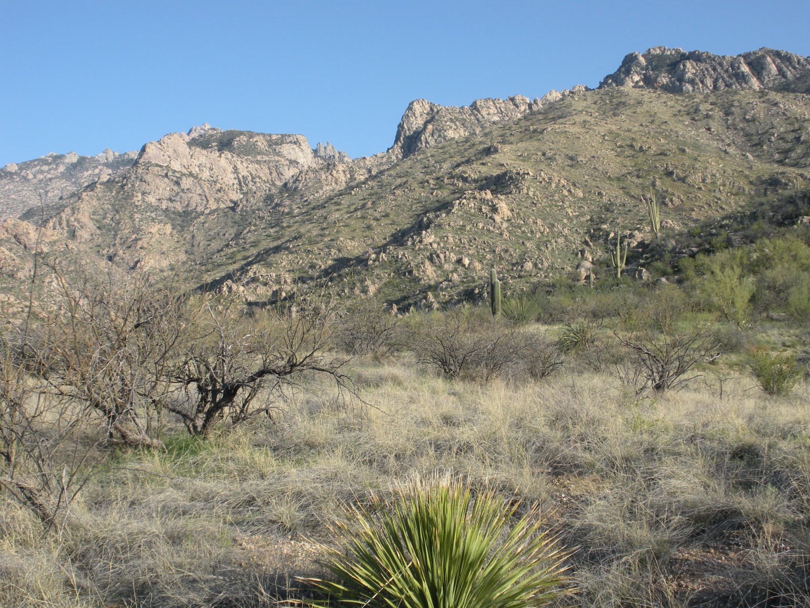 CSMS GEOLOGY POST SANTA CATALINA MOUNTAINS