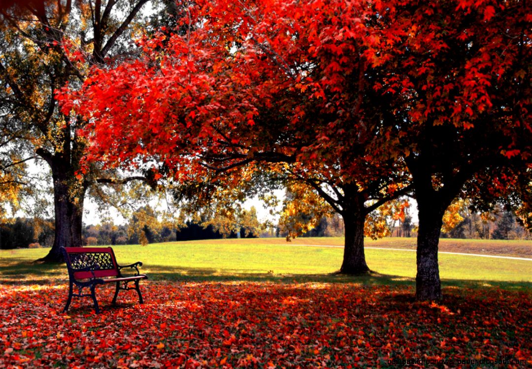 Free Fall Desktop Wallpaper Nature Free Fall Desktop Wallpaper Nature