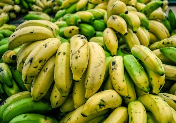 manfaat pisang, manfaat buah pisang, buah pisang, manfaat makan pisang, apa manfaat pisang