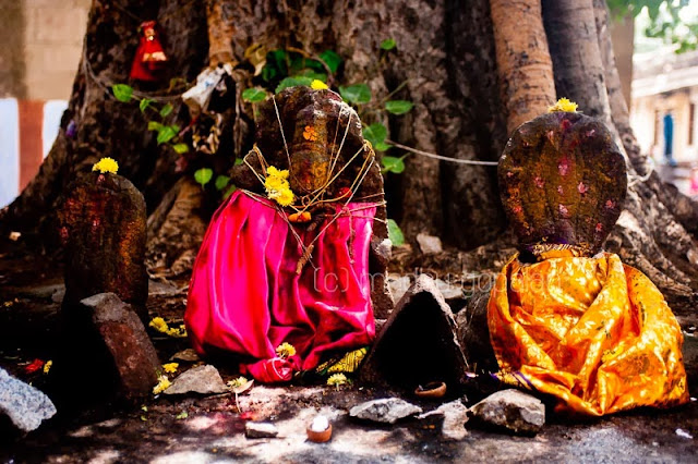 Varadharaja Perumal Temple Varadharaja Perumal Temple
