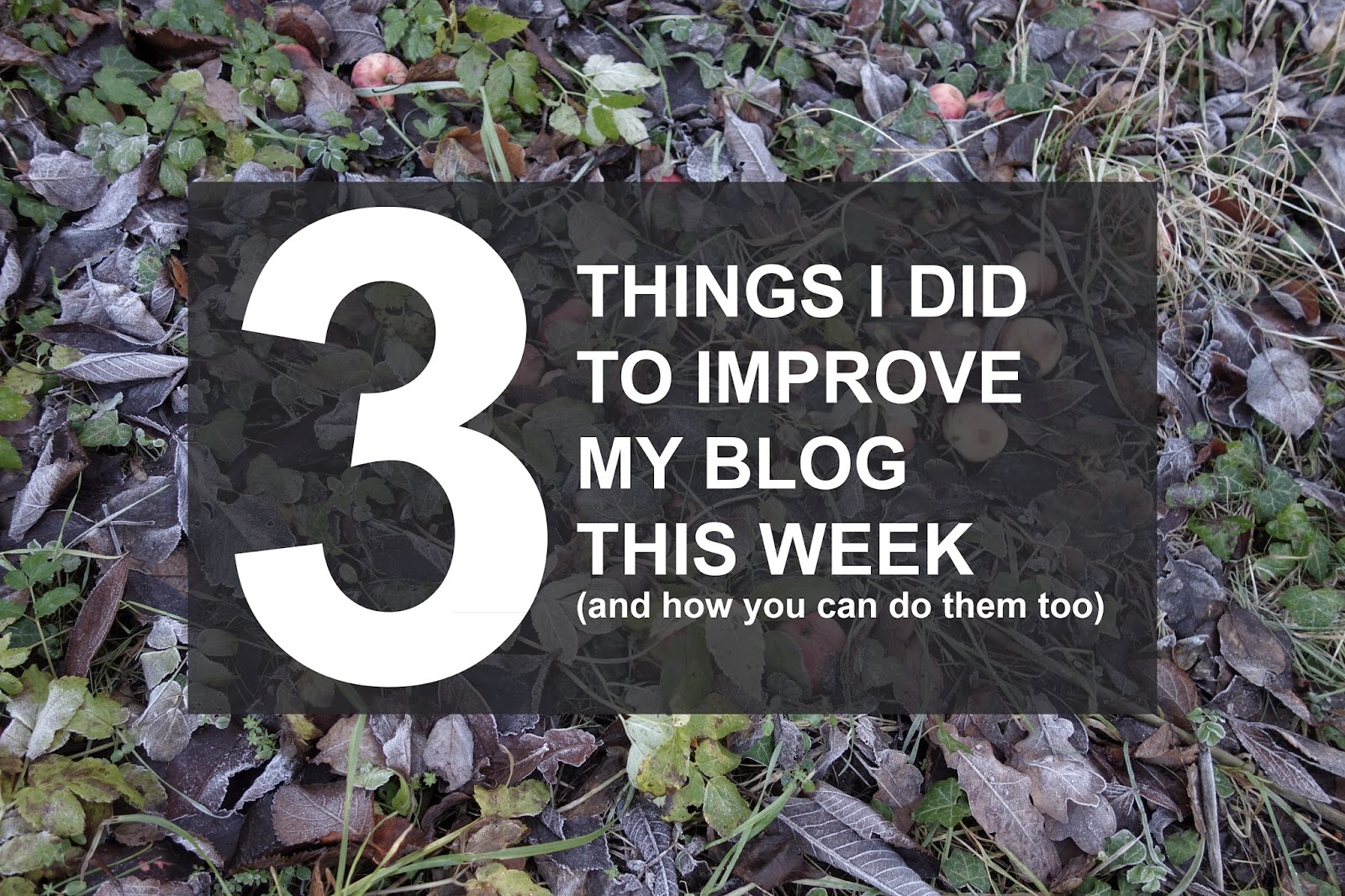 3 things I did to improve my blog this week (and how you can do them too!)