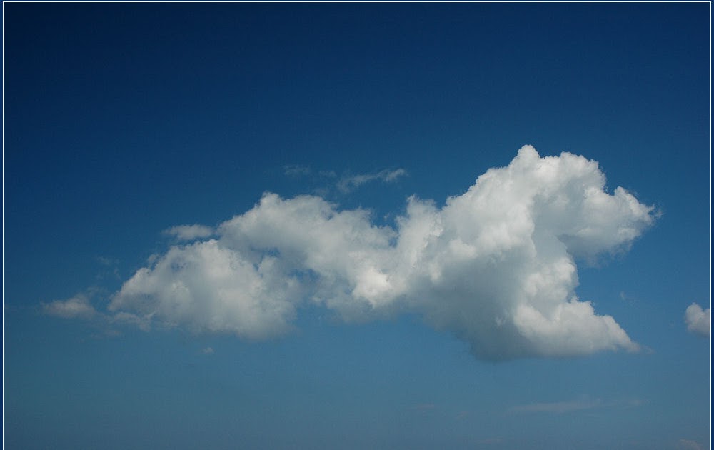 Misteri Della Vita Il Mio Cane E Morto