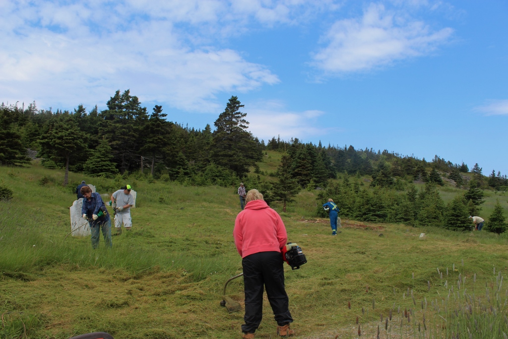 ICH Blog Great Finds in New Perlican