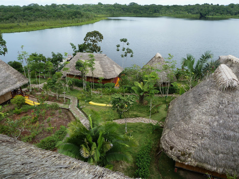 South of the Equator The Ecuadorian Amazon Rainforest