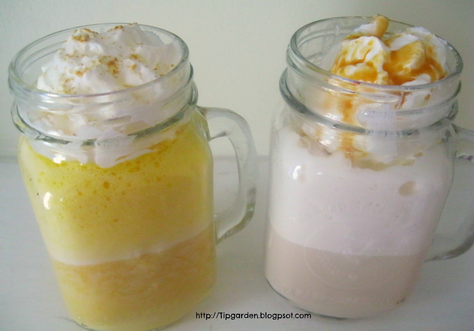 TIP GARDEN Non Coffee Steamer Recipes