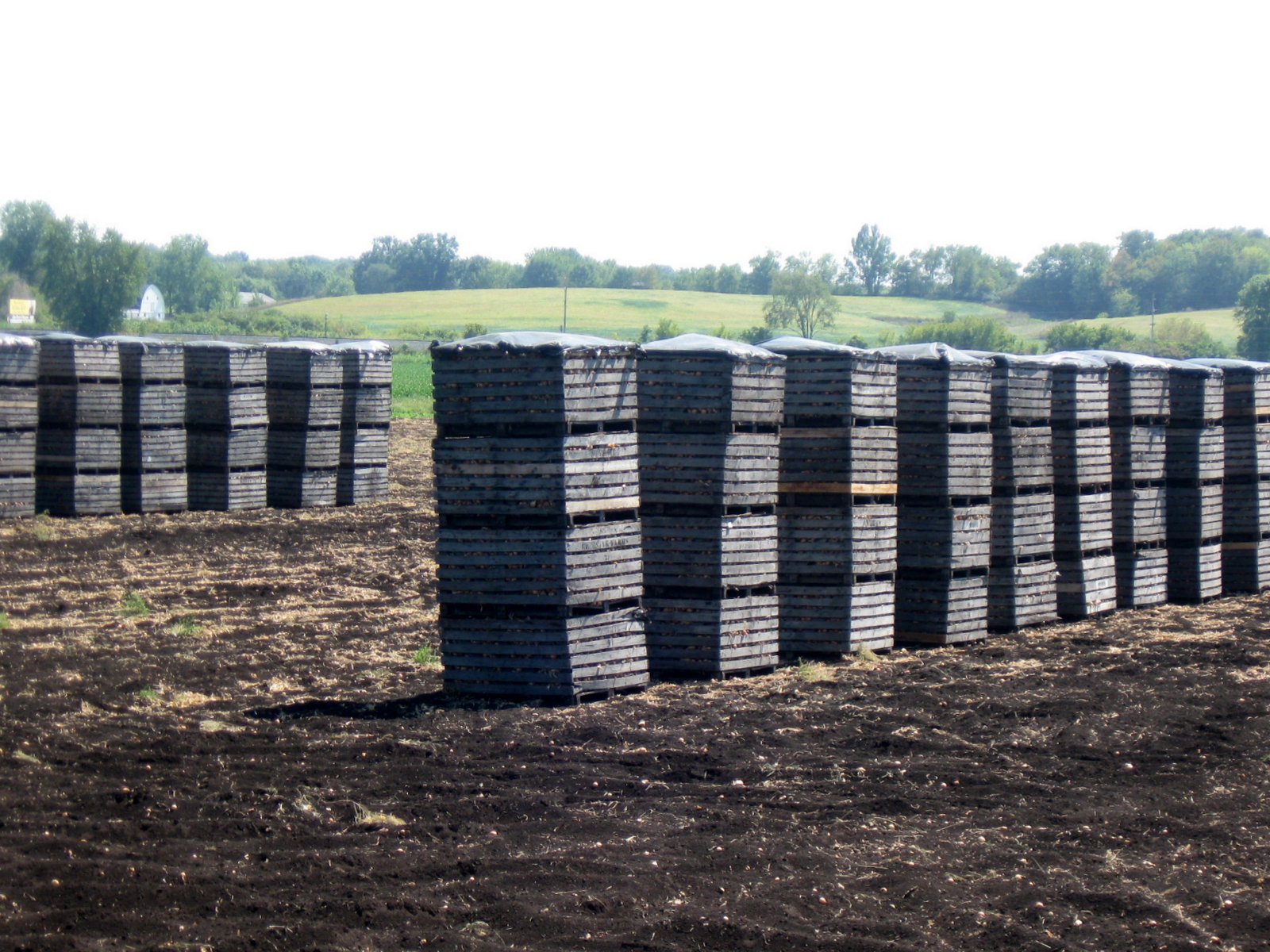 My Little Corner of the World Muck farm!