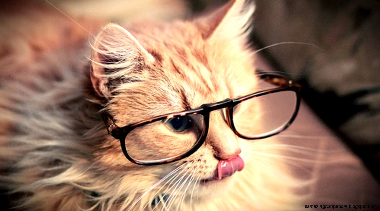 Desktop Wallpapers Tumblr  Stylish Wallpaper Evolution Desktop Wallpapers Tumblr  Stylish Wallpaper Evolution