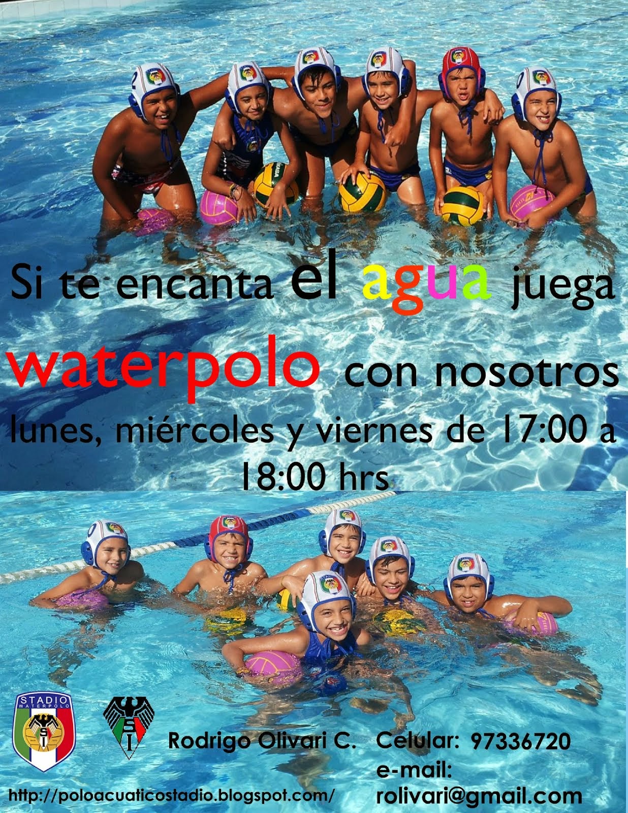 Escueltia de WP