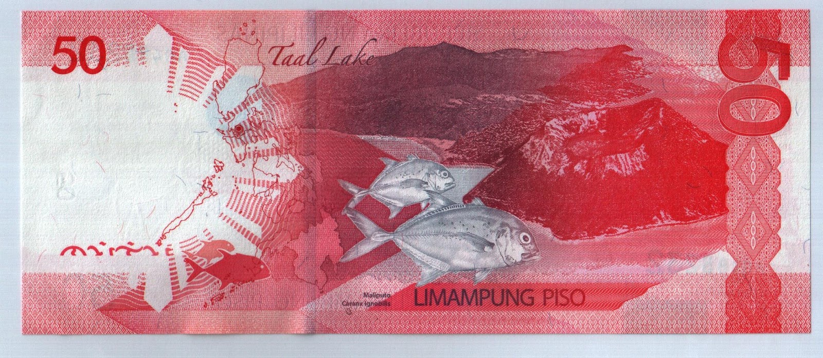 The private collection of banknotes from around the countries in the