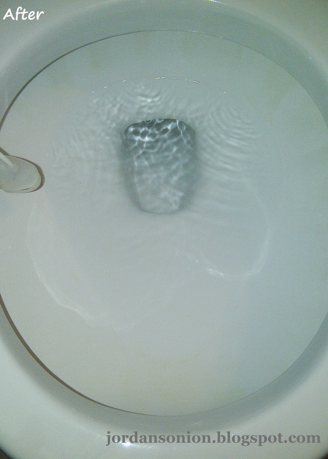 How to Get Rid of the Ring in Your Toilet Jordan's Easy Entertaining