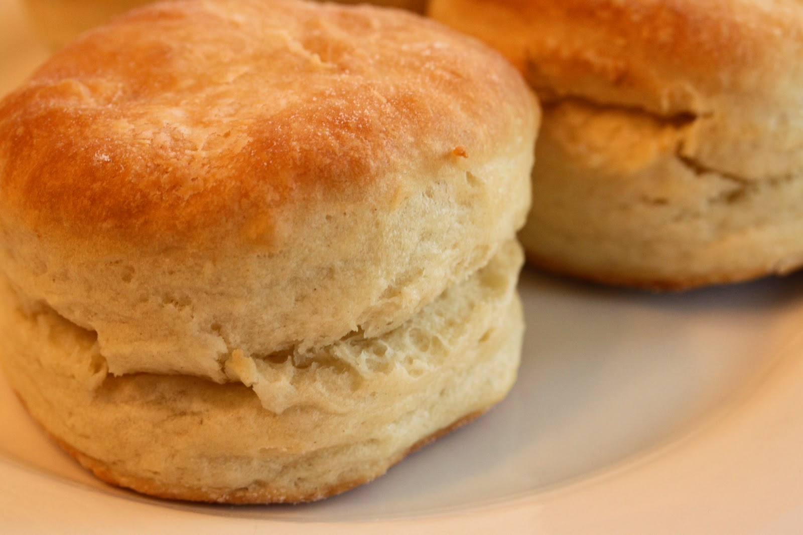 Angel Biscuits Saving Room for Dessert