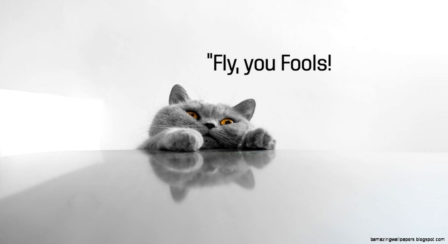 Wallpapers With Quotes Collection 40 Wallpapers With Quotes Collection 40
