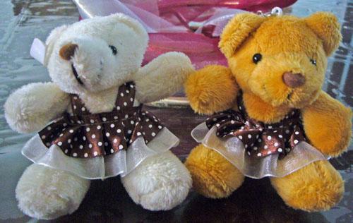 Female Teddy