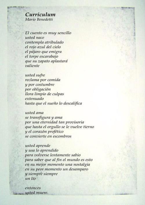 What to include in a resume image