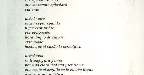 Curriculum vitae examples pdf picture