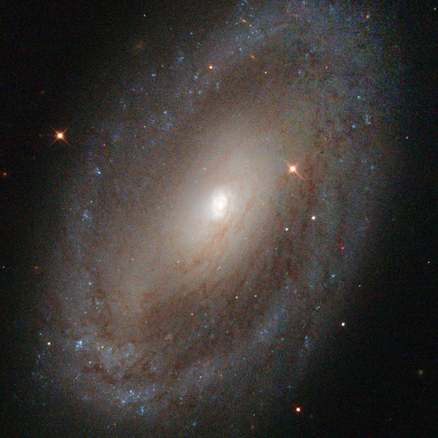 Spiral Seyfert Galaxy NGC 3185