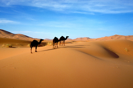 rencontre marocaine marrakech