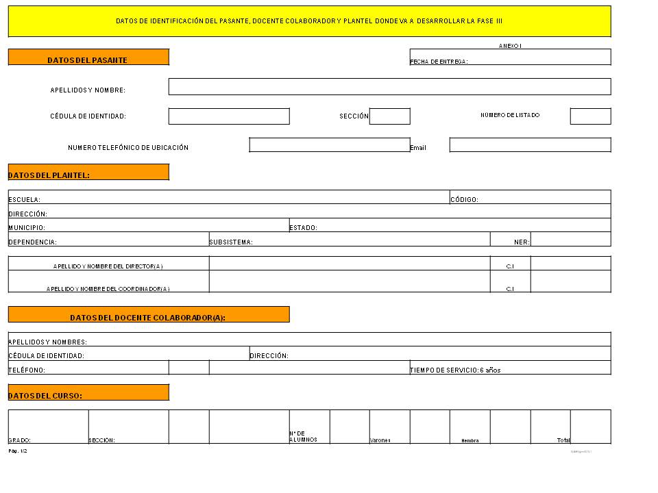 formato de resumen curricular para rellenar
