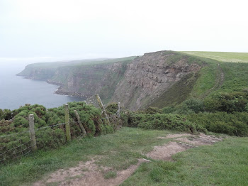 Walking the cliffs of the North Sea