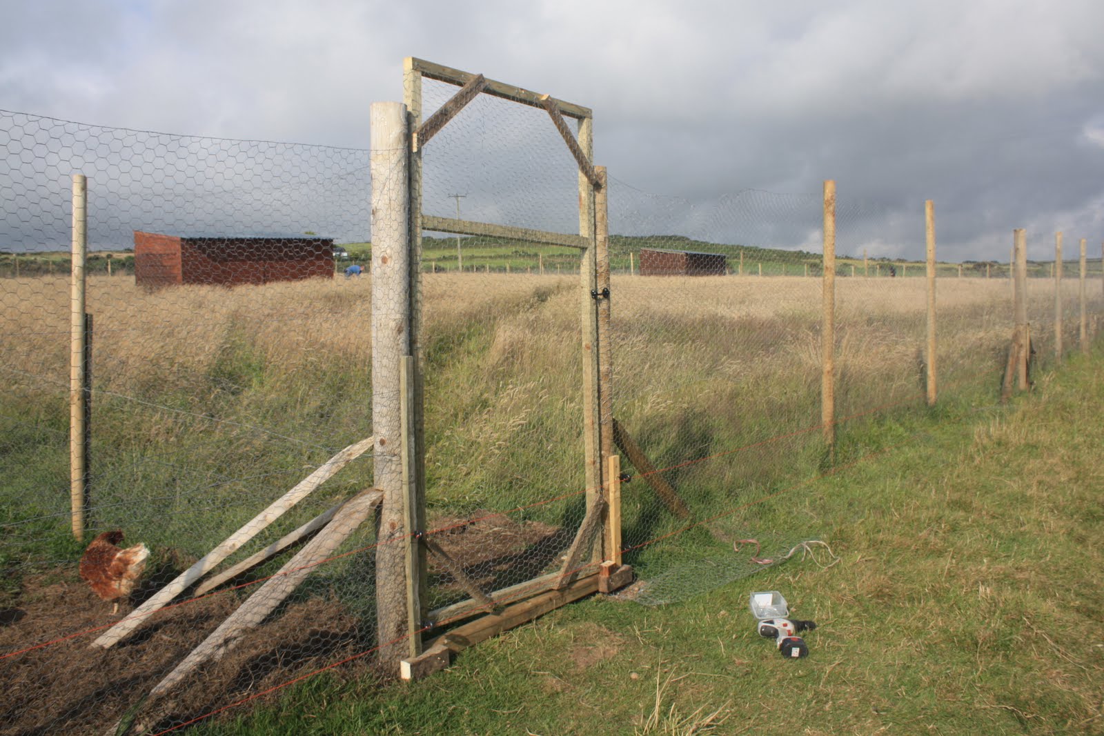 Bosavern Community Farm Preparing for chickens.
