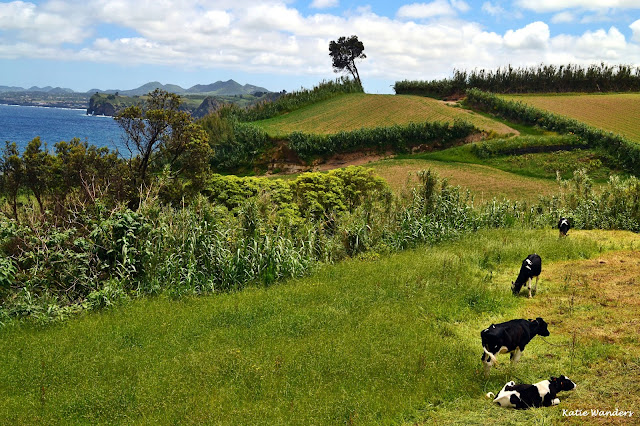 Katie Wanders : Sao Miguel Overview - Churches, Landscapes, Food and Culture