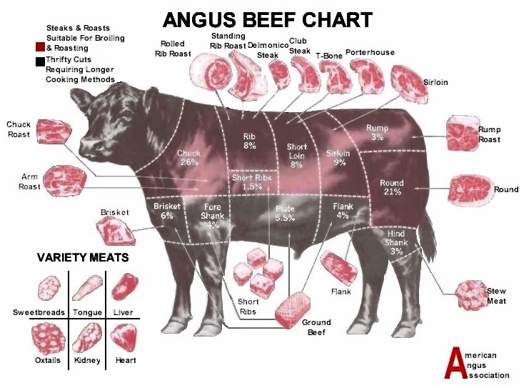 The American Cowboy Chronicles  Cattle Diagrams