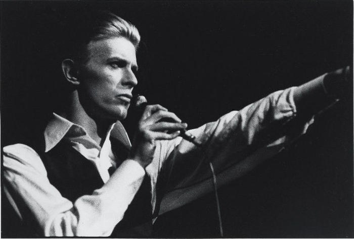 thinwhiteduke.png