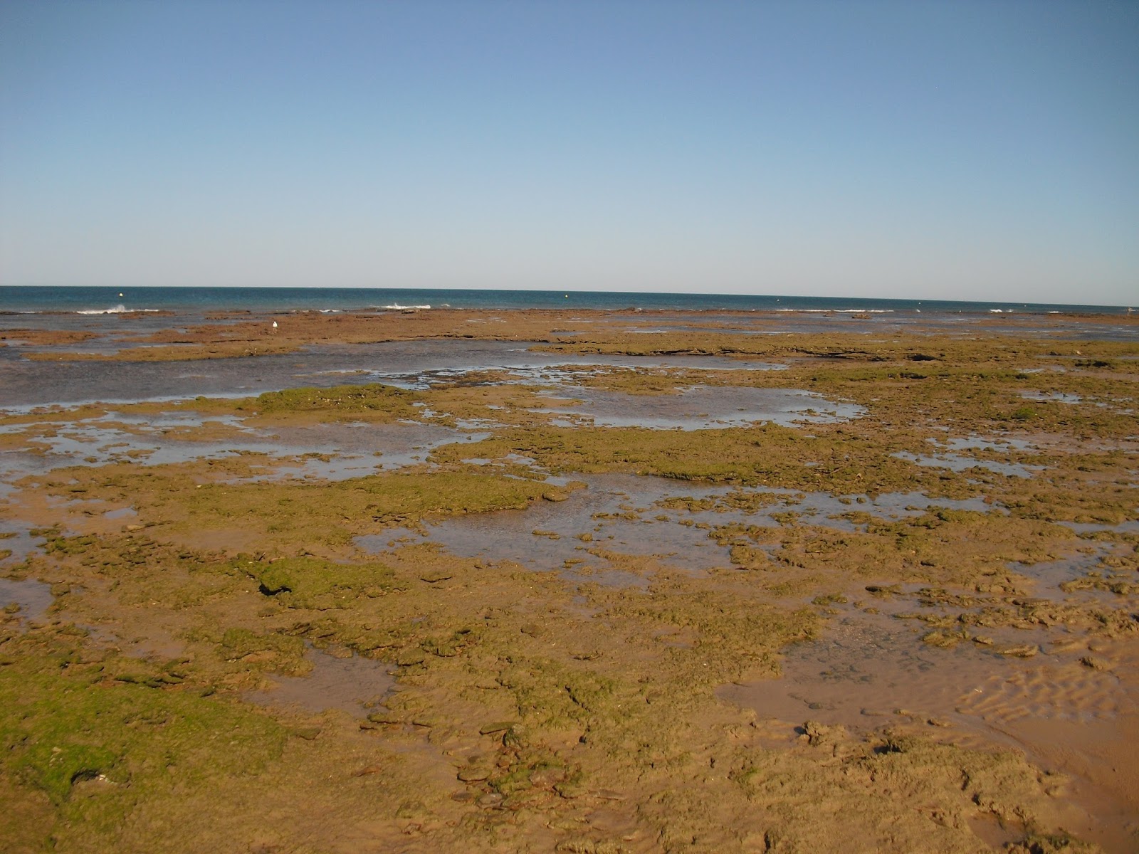 Playas de Cadiz Playa de Cortadura