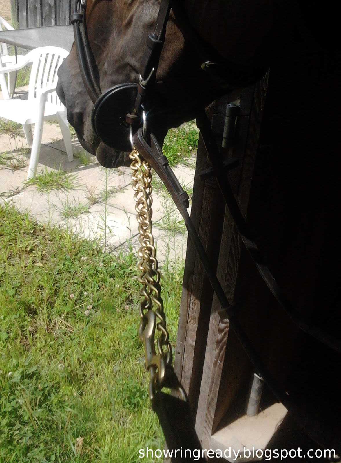 Show Ring Ready How to Attach a Lead Shank to the Bit