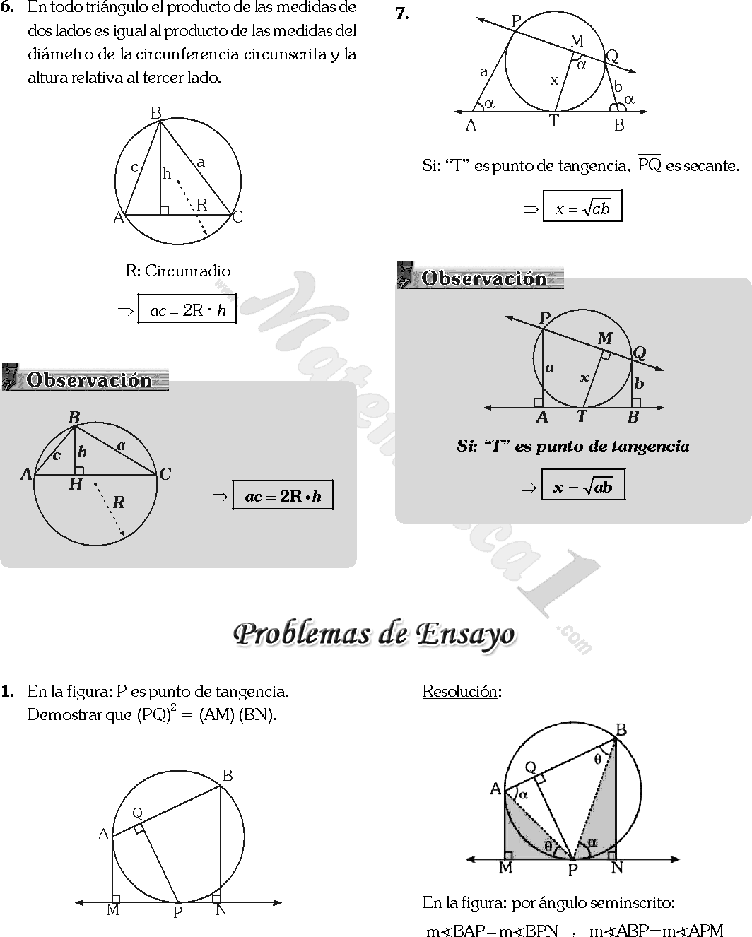 Triangulos Semejantes Pdf