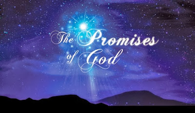 http://goodnessofgodministries.wordpress.com/2012/06/24/conquering-the-giants-and-entering-the-promised-land/