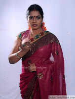 Jayavani Latest Saree Photos 3 pic 10