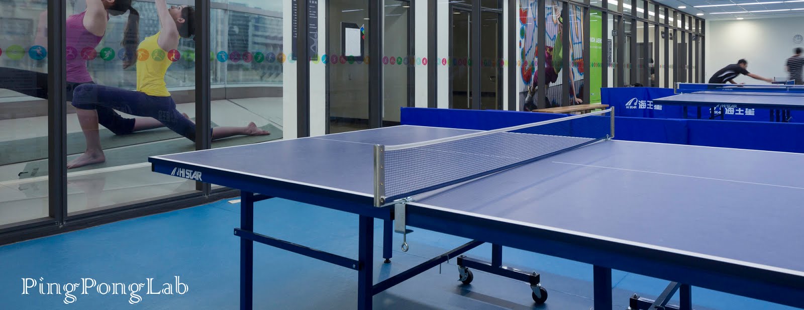 Best Ping Pong Table (Indoor & Outdoor) Reviews 2019